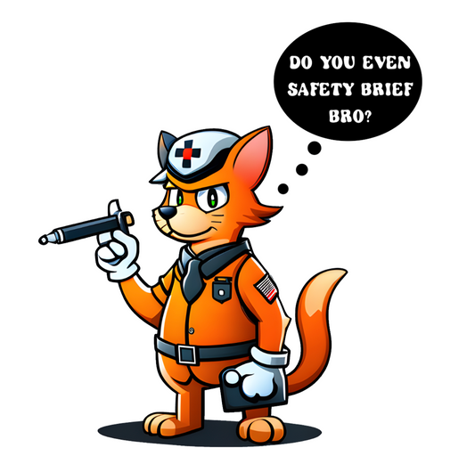 Do You Even Safety Brief Bro? T-Shirt